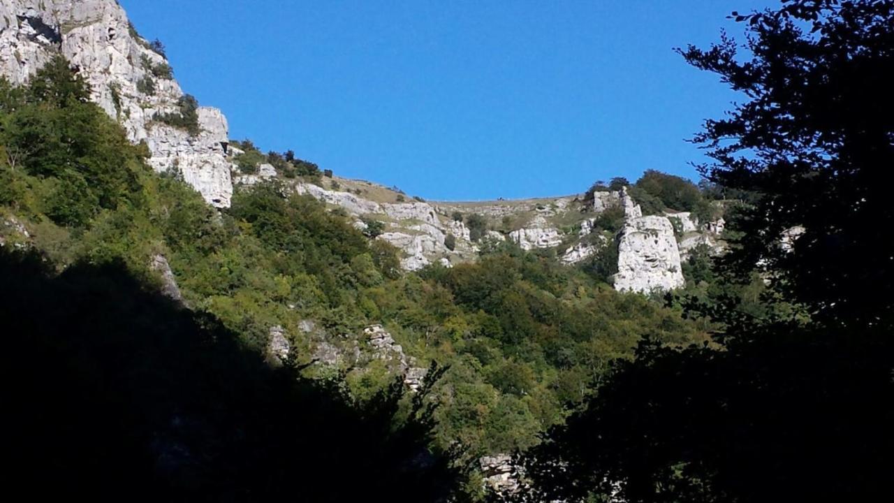 Apartamentos Rurales Imaz Etxea - Urbasa Olazagutía Cameră foto